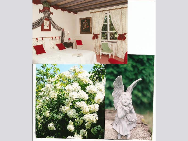 Le Petit Manoir Des Bruyeres Bed & Breakfast Villefargeau Exterior foto
